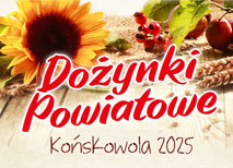 NOK Nałęczów